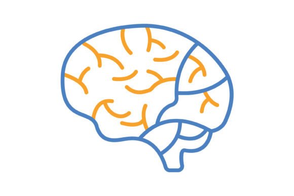 Practical Uses for the Brain Blue & Orange Line Icon